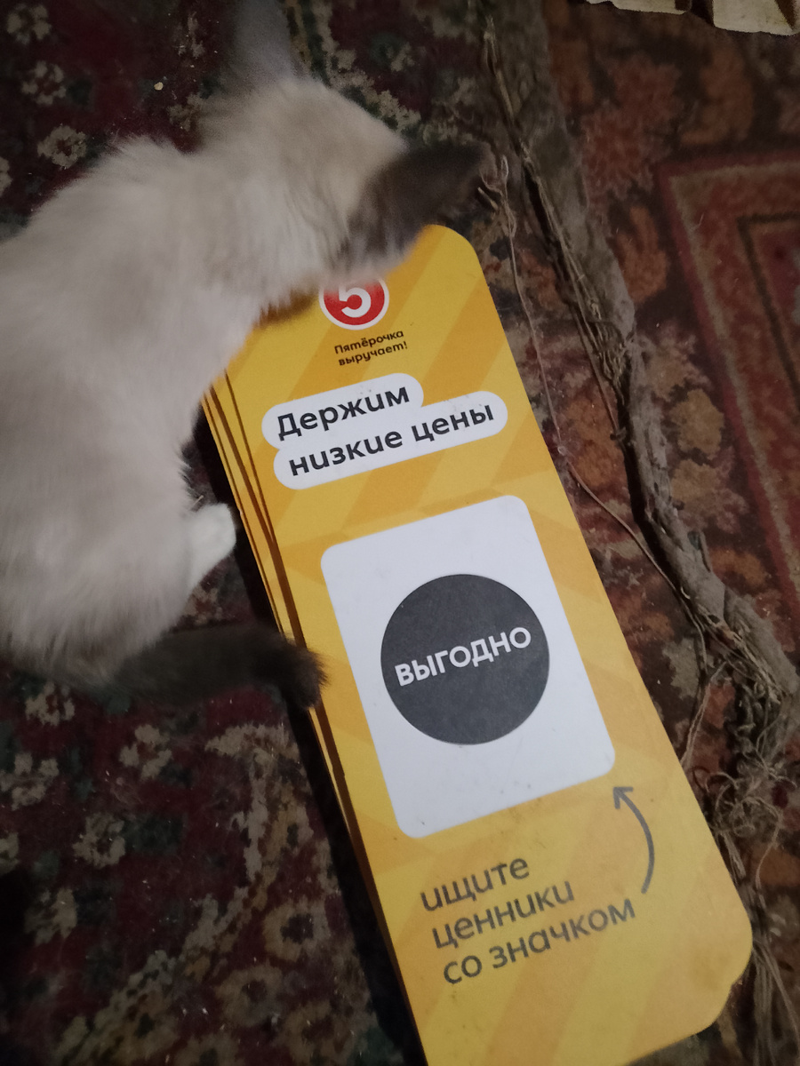 Фото не имеет отношения к тексту