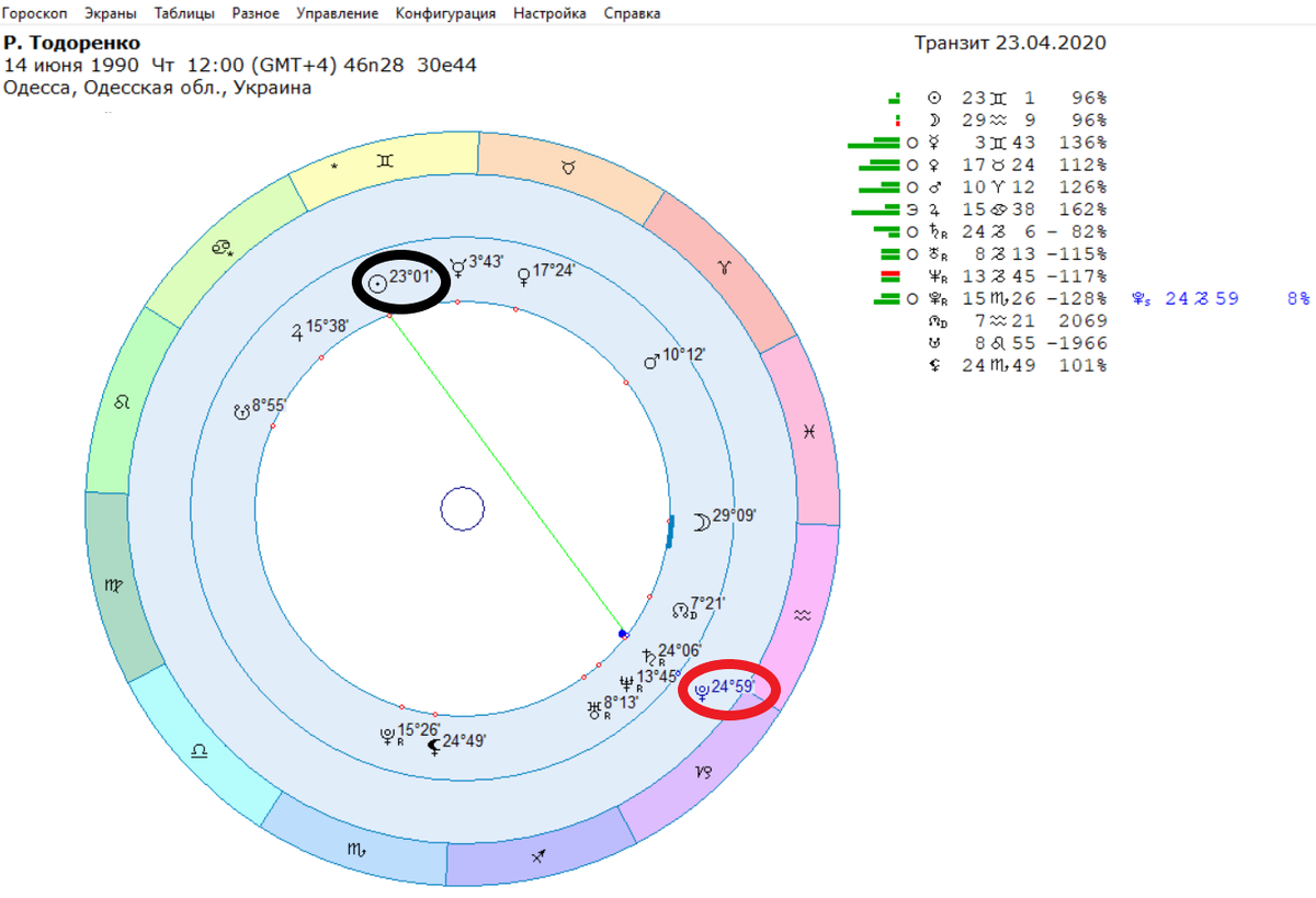 Р. Тодоренко захейтили за высказывание на тему домашнего насилия.