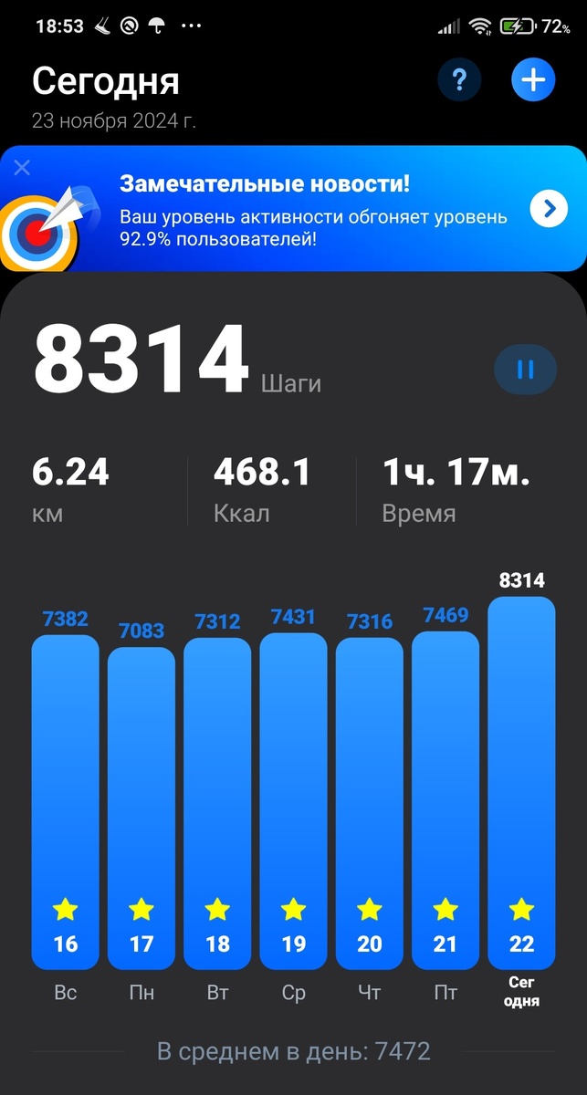 Шикарный результат. 23 ноября 2024 г.