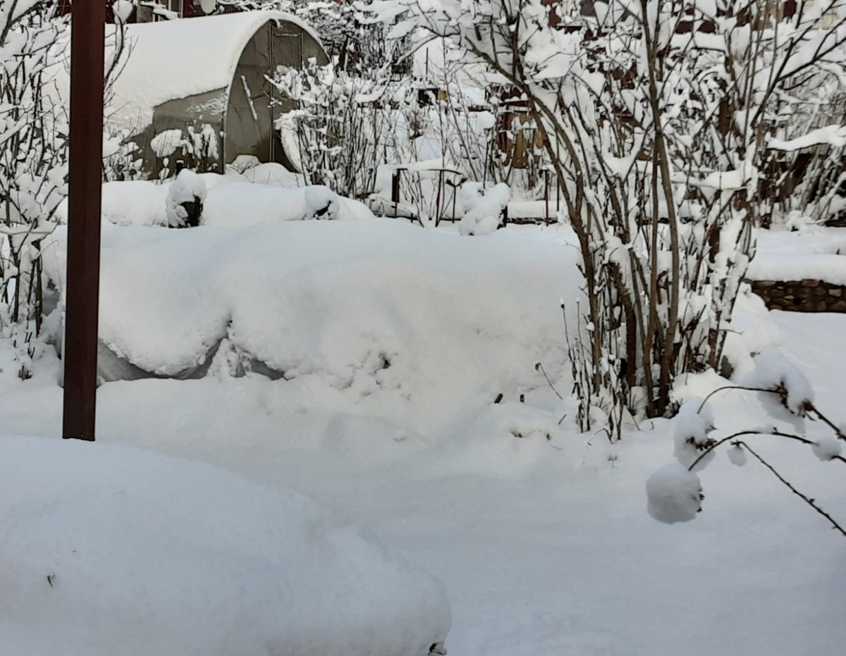 Семейная клумба