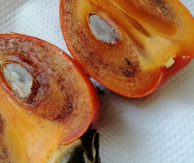 Мошки охотно летят на сладкие фрукты