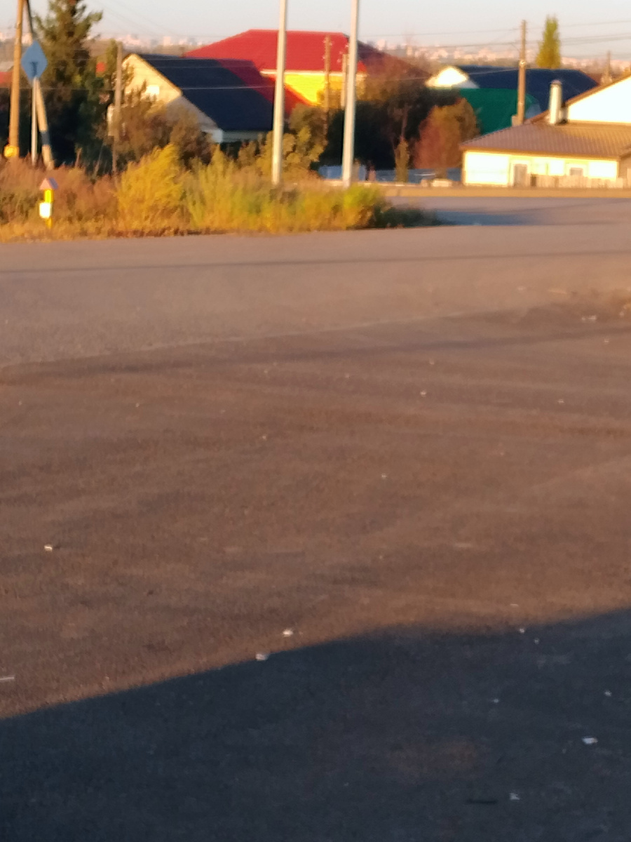 Фото автора. Сегодня чудесный день