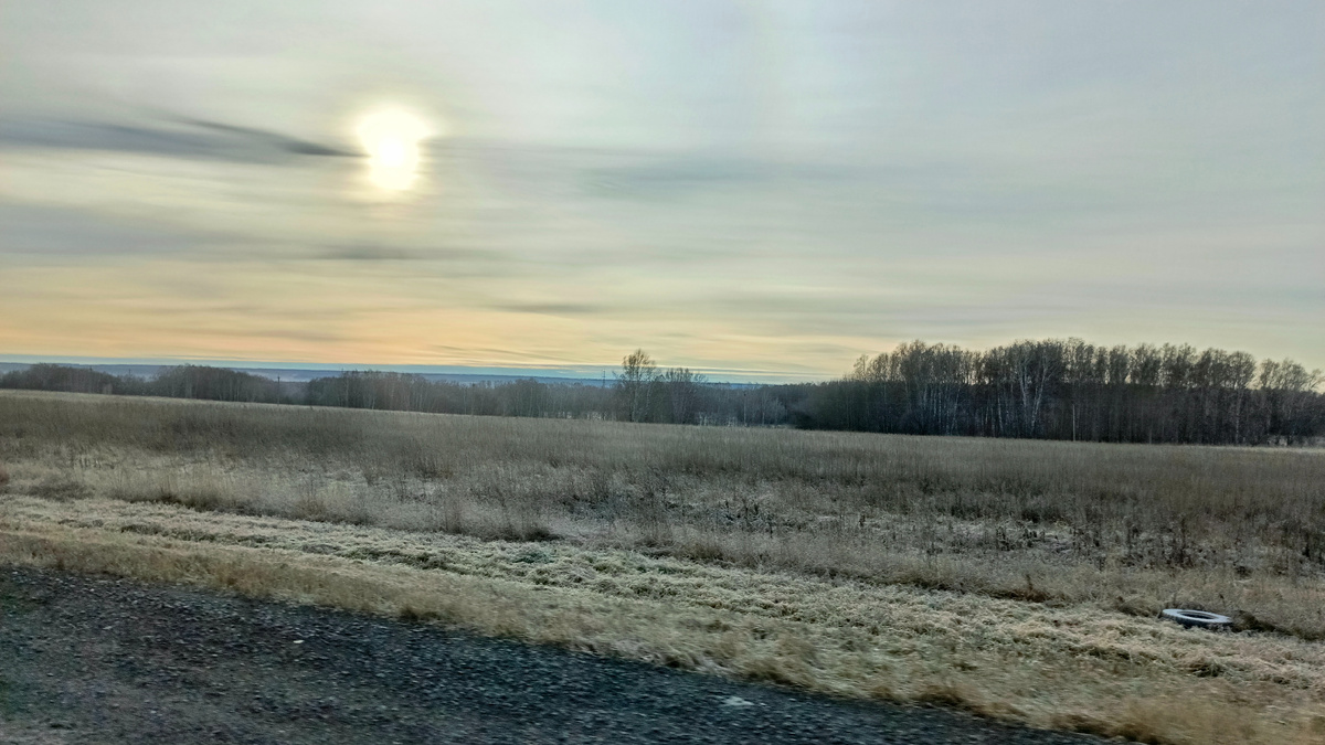 Вид из окна авто где то в Новосибирской области.