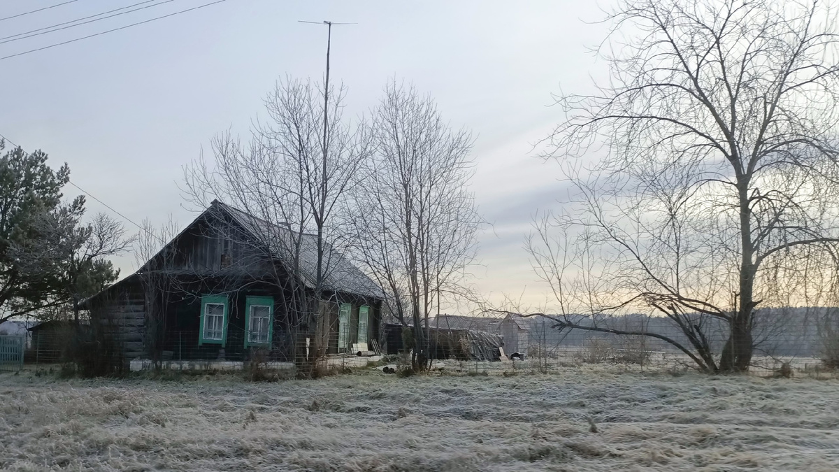 Скособочившийся, на ладан двшащий, но ещё живой домишка в глухой деревне.