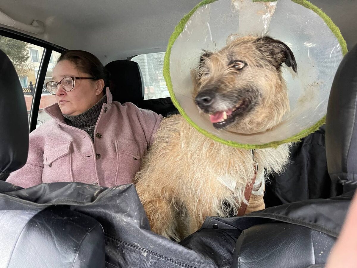 Бася , как всегда, следит за дорогой.