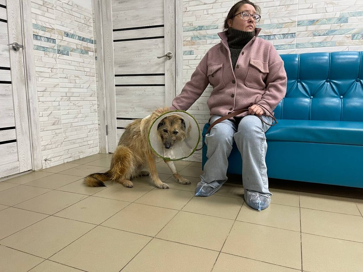 Приехал на час раньше назначенного времени ( дорога в этот раз была хорошая),  терпеливо ждёт приём.