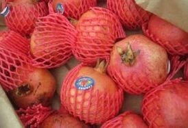    В Оренбуржье не допустили ввоз более 40 тонн зараженной продукции из Узбекистана Марина Шарт