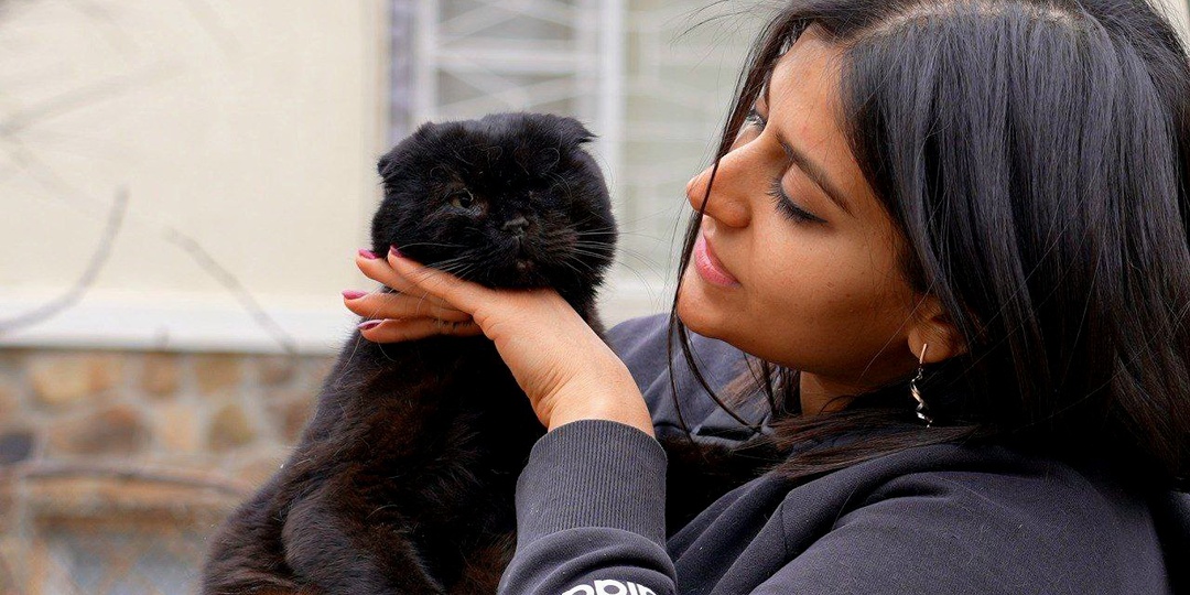 Кот, которого сбила машина нуждается в доме.