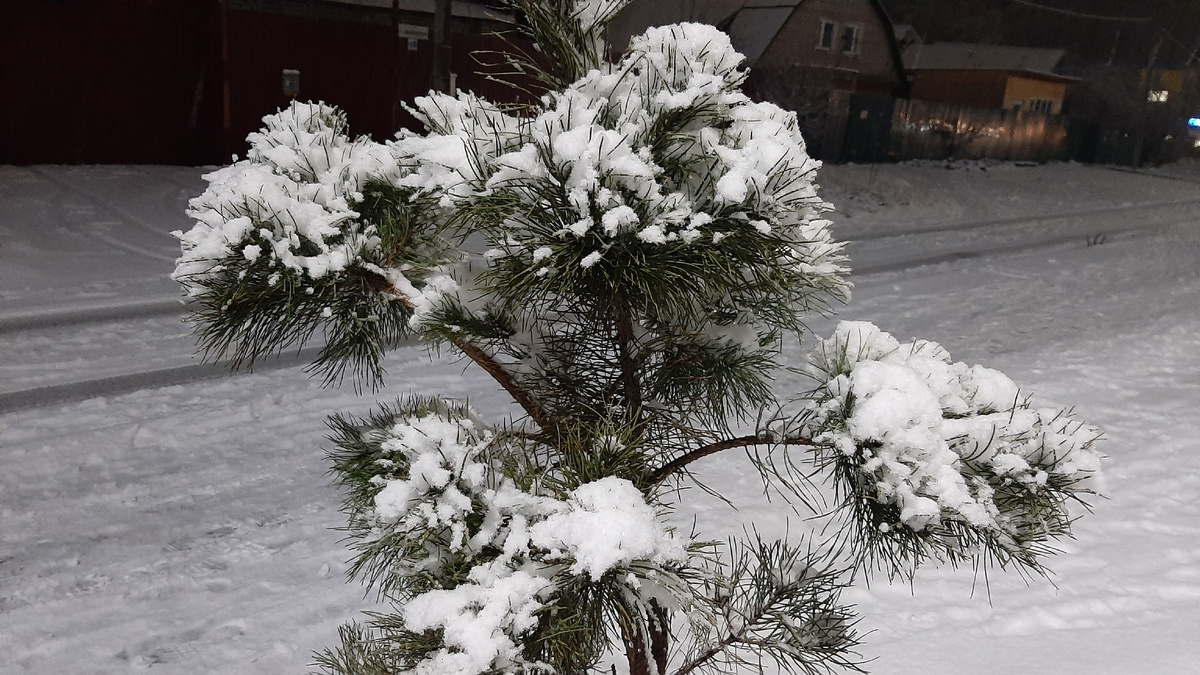 Мокрый снег