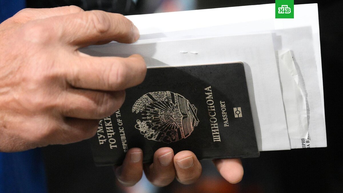    Фото: РИА Новости © 2024, Александр Кряжев