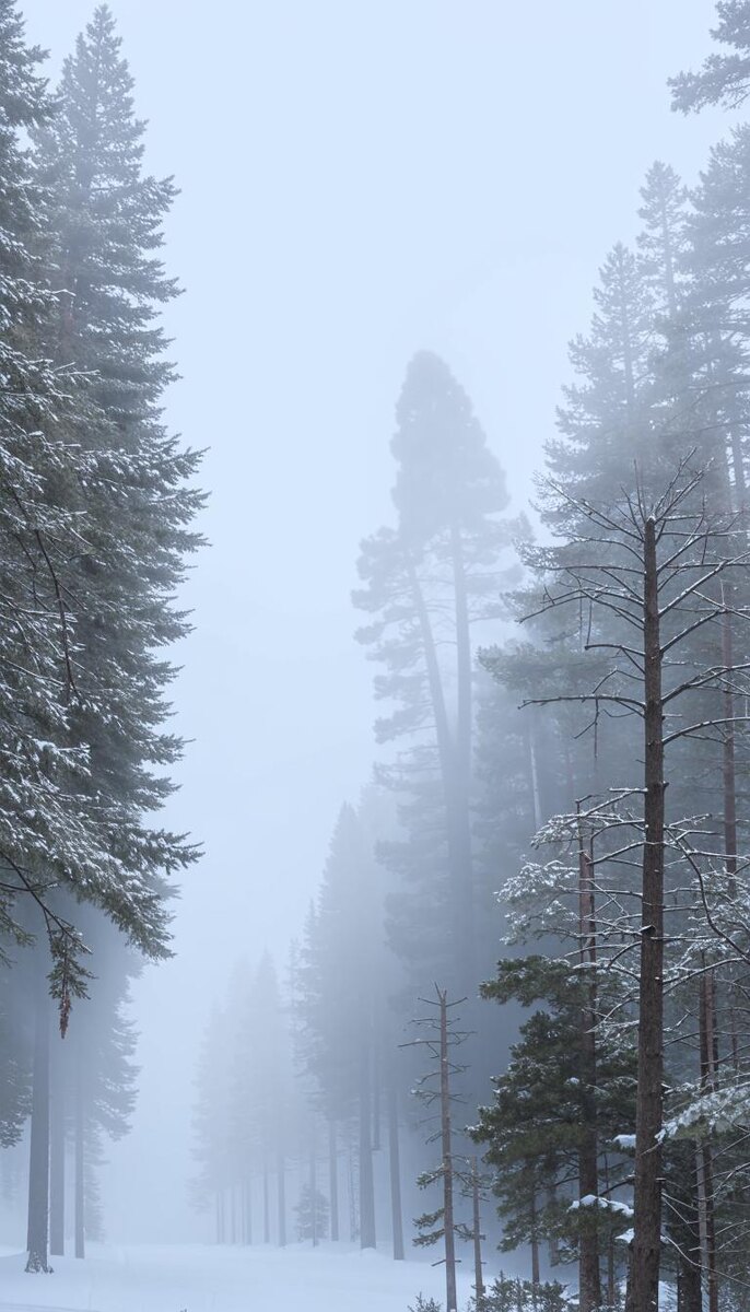 Кандинский.