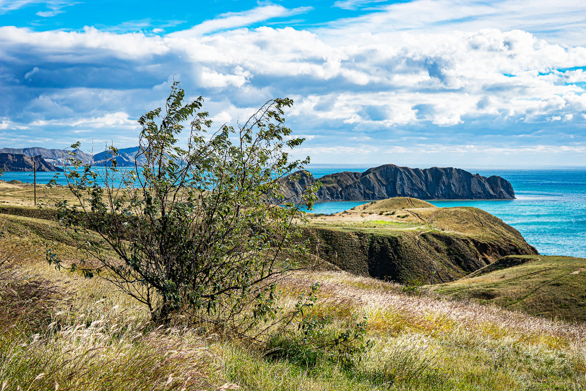 Мыс Хамелеон
