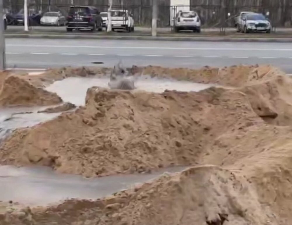    Фото: Telegram-канал «Как дела, Санкт-Петербург?»/ скриншот видео