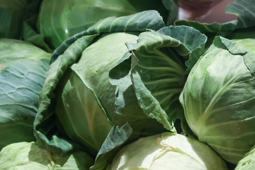    Фото: Petrov Sergey/Globallookpress