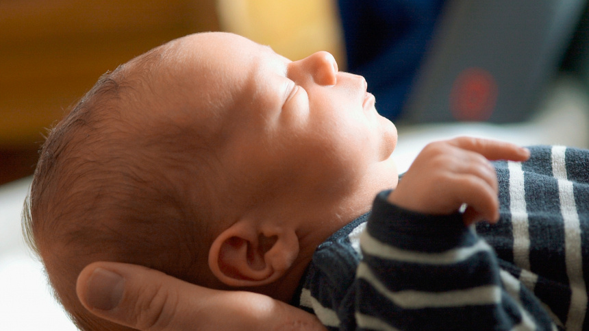    Фото: www.globallookpress.com/N. Hochheimer / CHROMORANGE