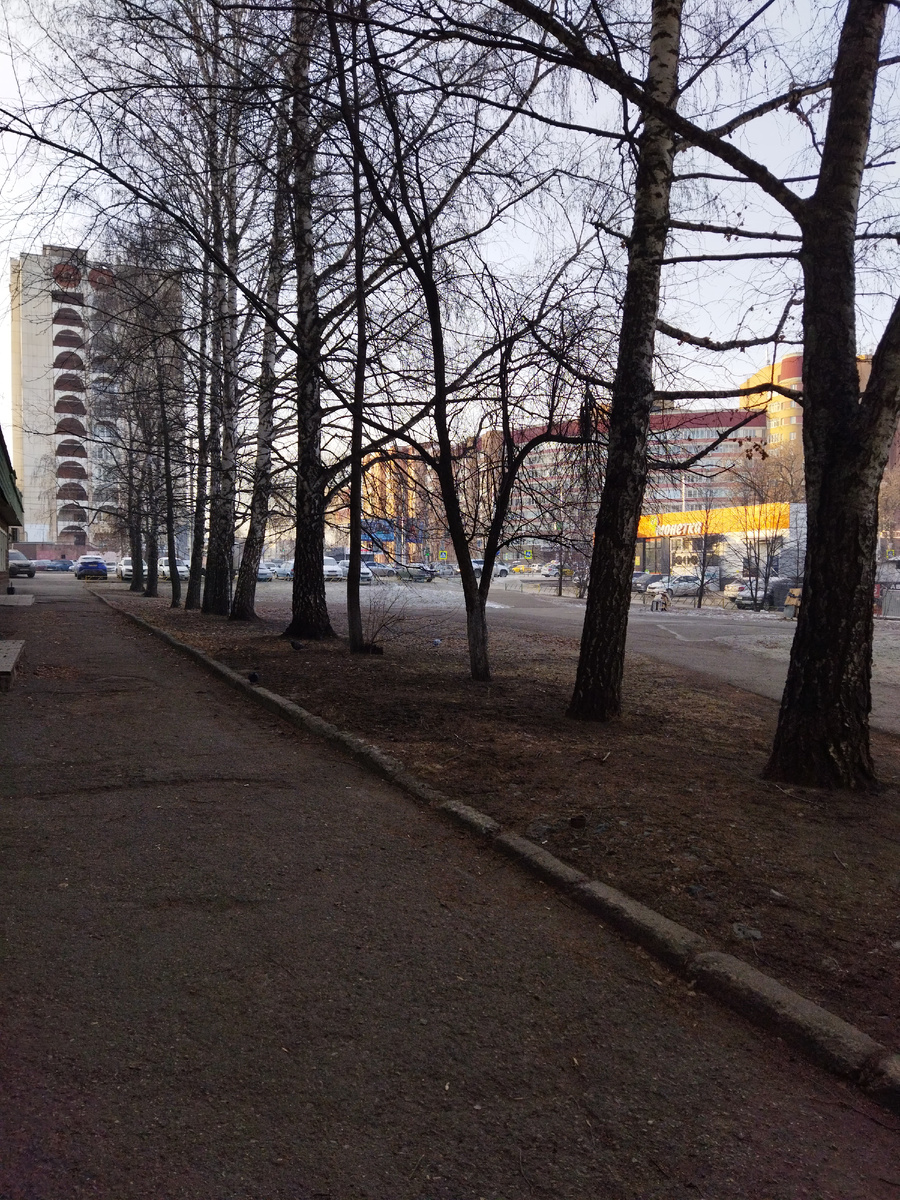 Фото автора. С прогулки. 