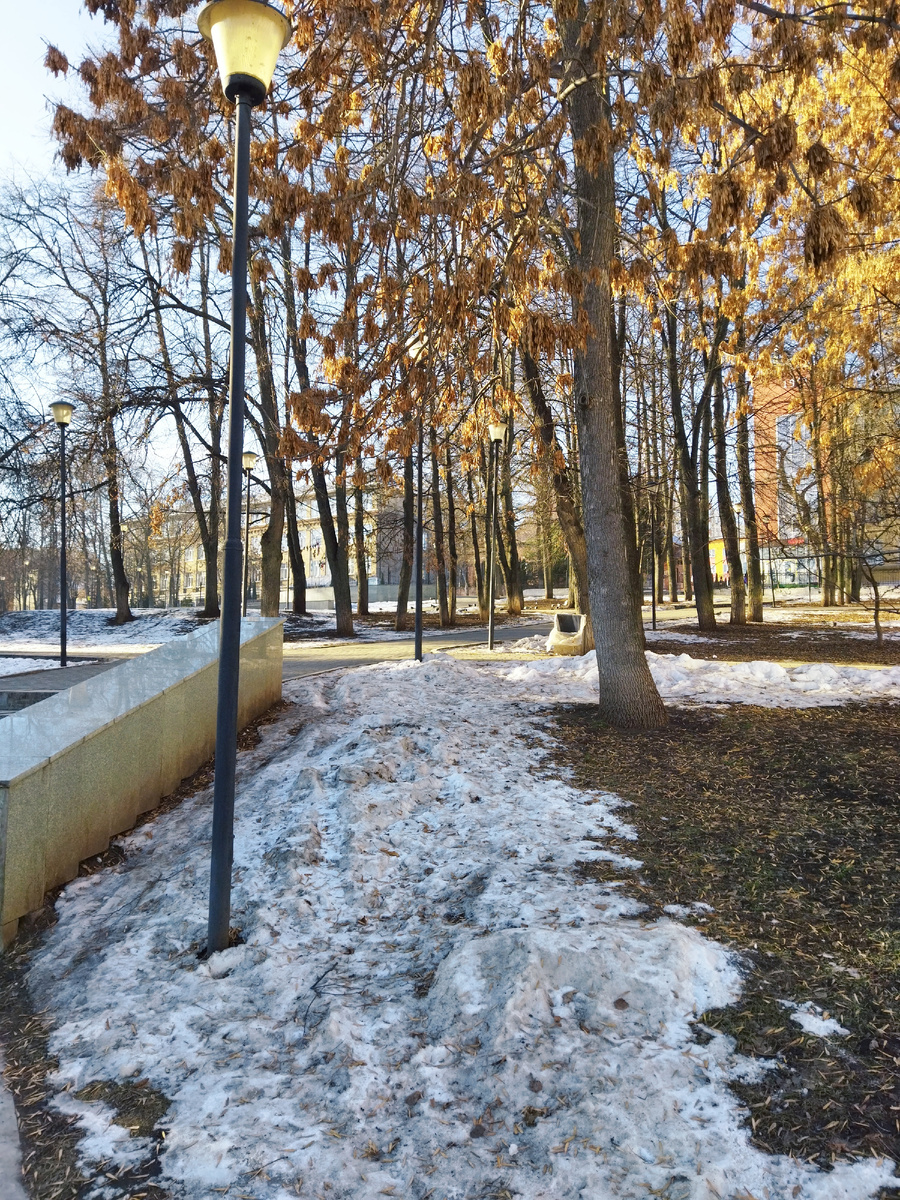 Фото автора. Снега нигде нет, а в сквере не растаял почему то
