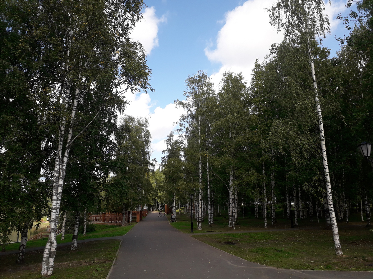 26 августа 2024 12:16