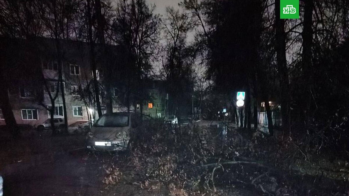    Фото: chptulachat / t.me