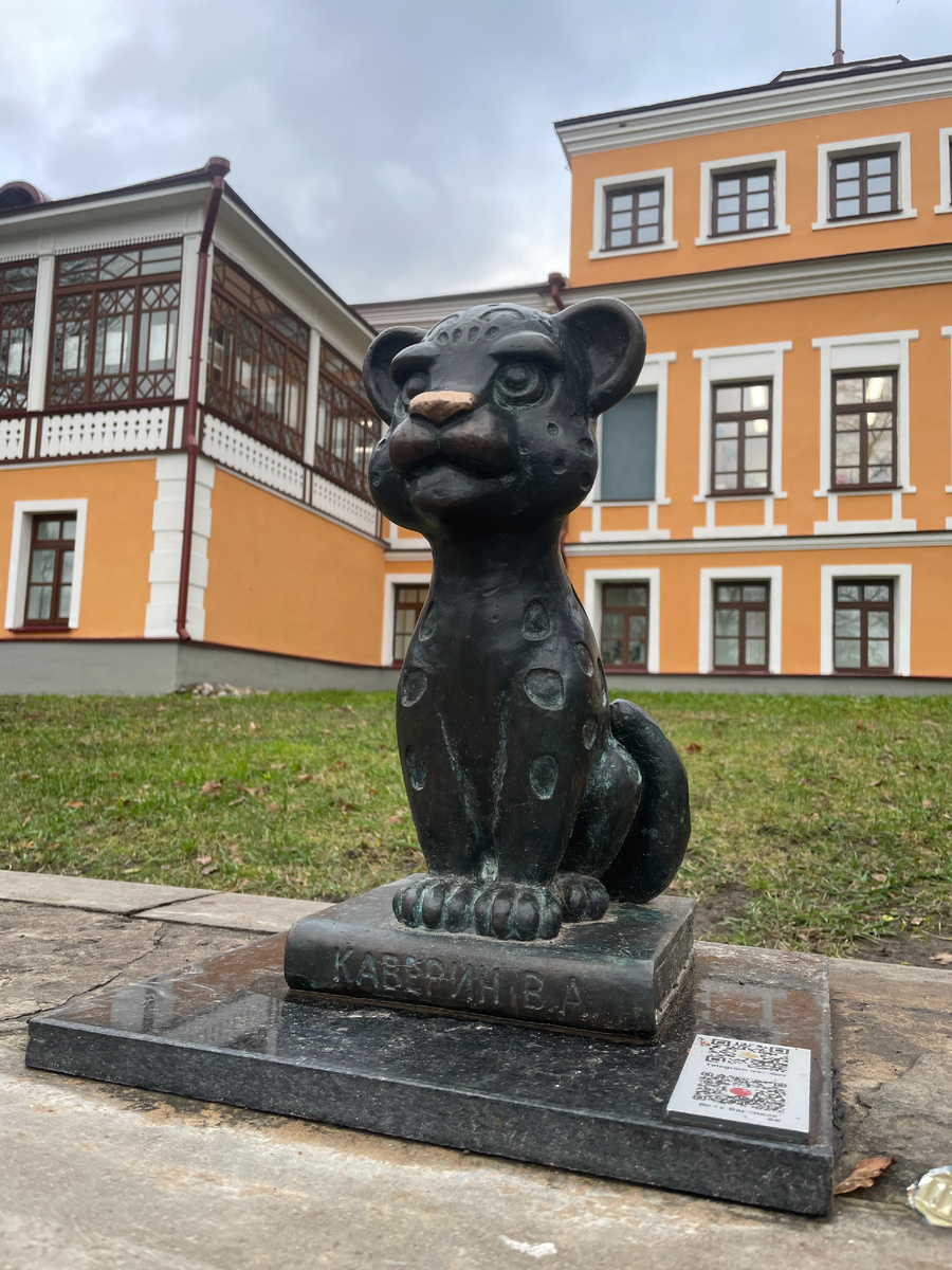 Барсик Венечка у библиотека им. Вениамина Каверина.