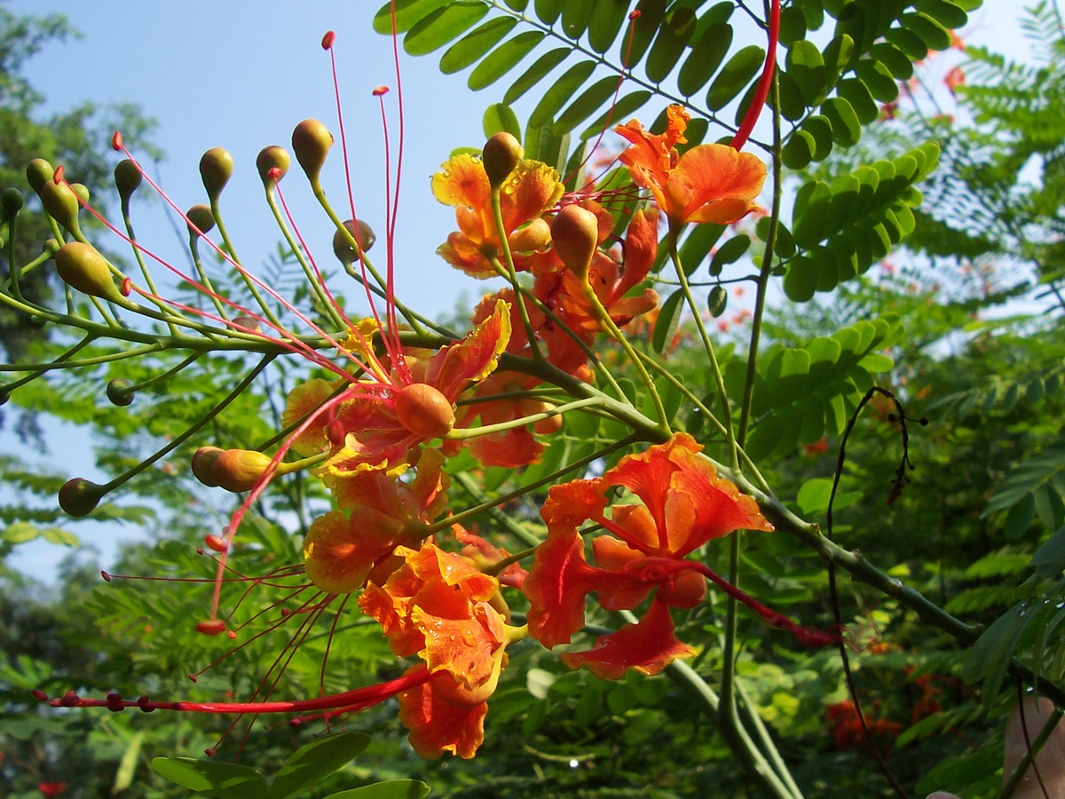 Источник Яндекс-картинки