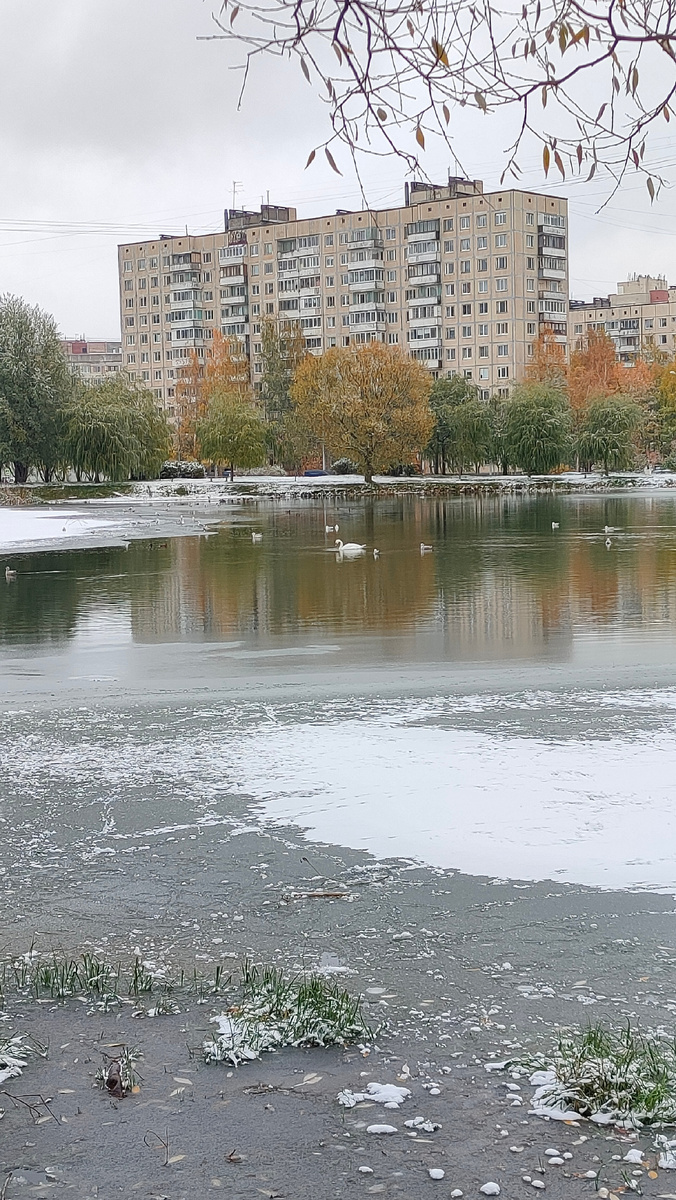 Фото автора 