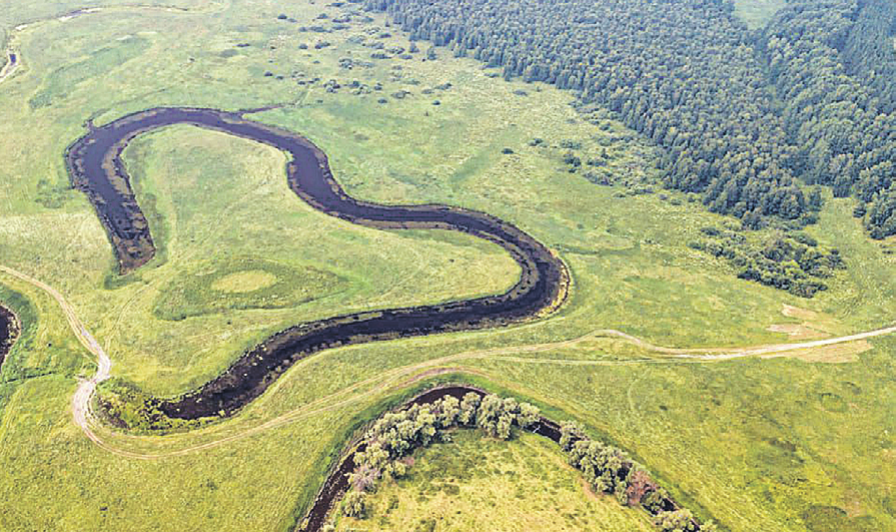 Природа рисует знаки для романтических натур. Фото: t.me/av_moor