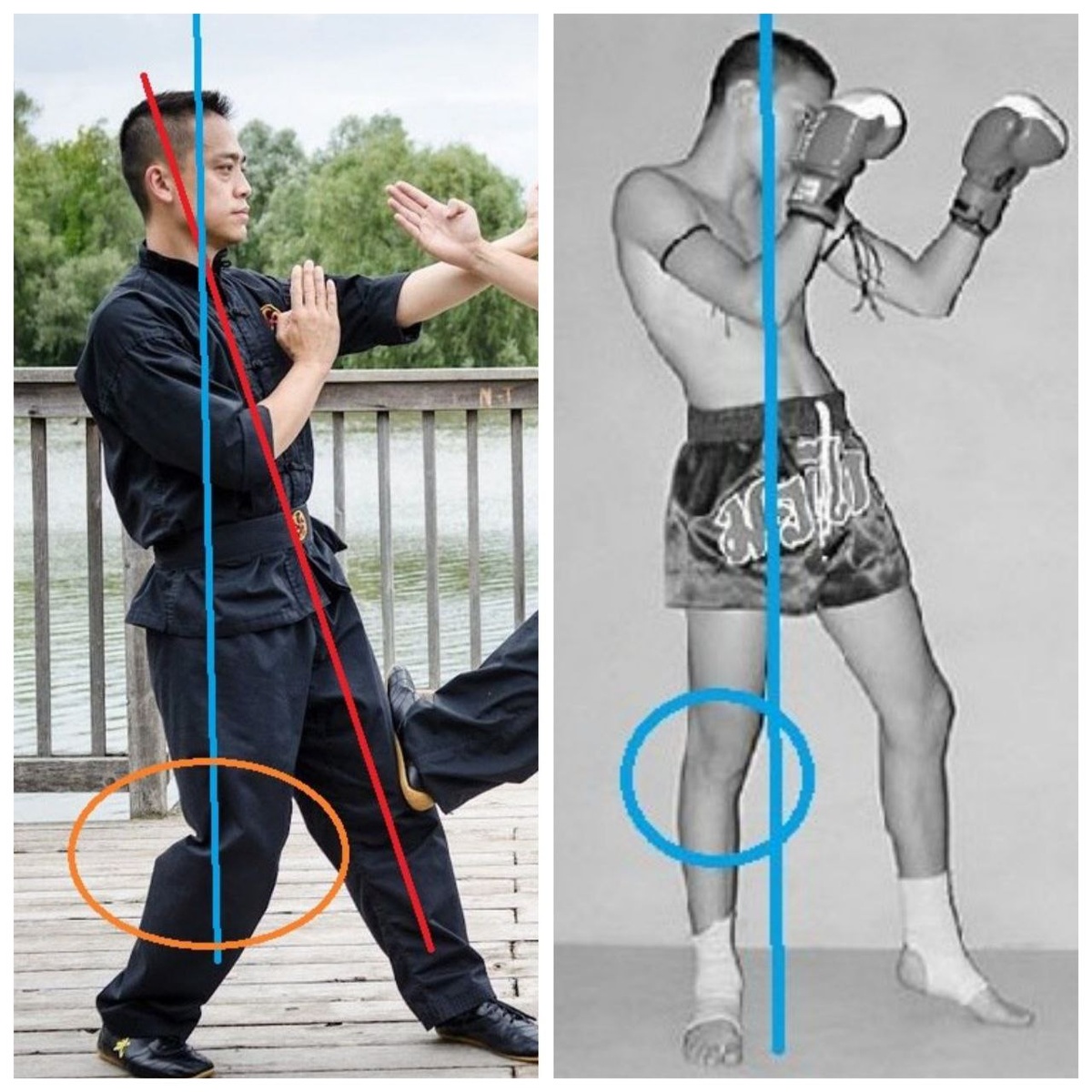 Слева винчун, справа тайский бокс