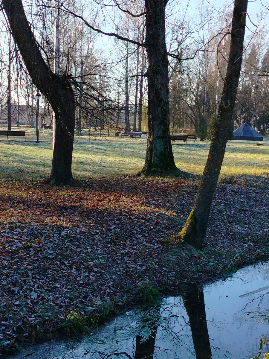 Иду мимо парка Победы