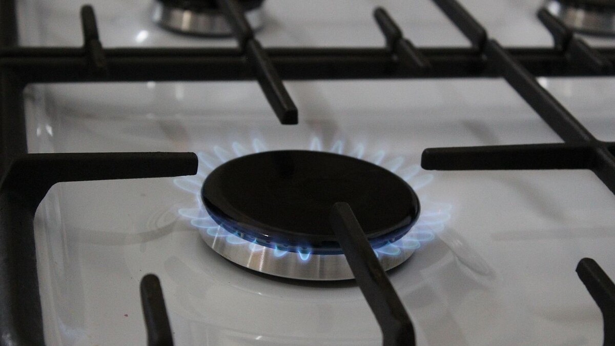    Фото: телеканал «Краснодар»