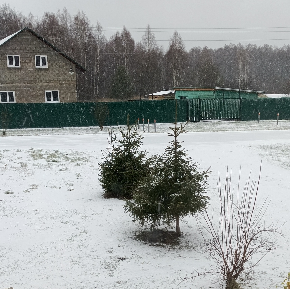 Так было перед домом с утра