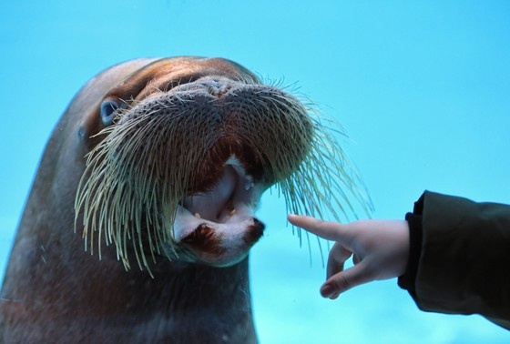    Какой сегодня праздник: 24 ноября 2024 года