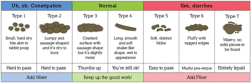 Изображение из открытого источника в интернете. 