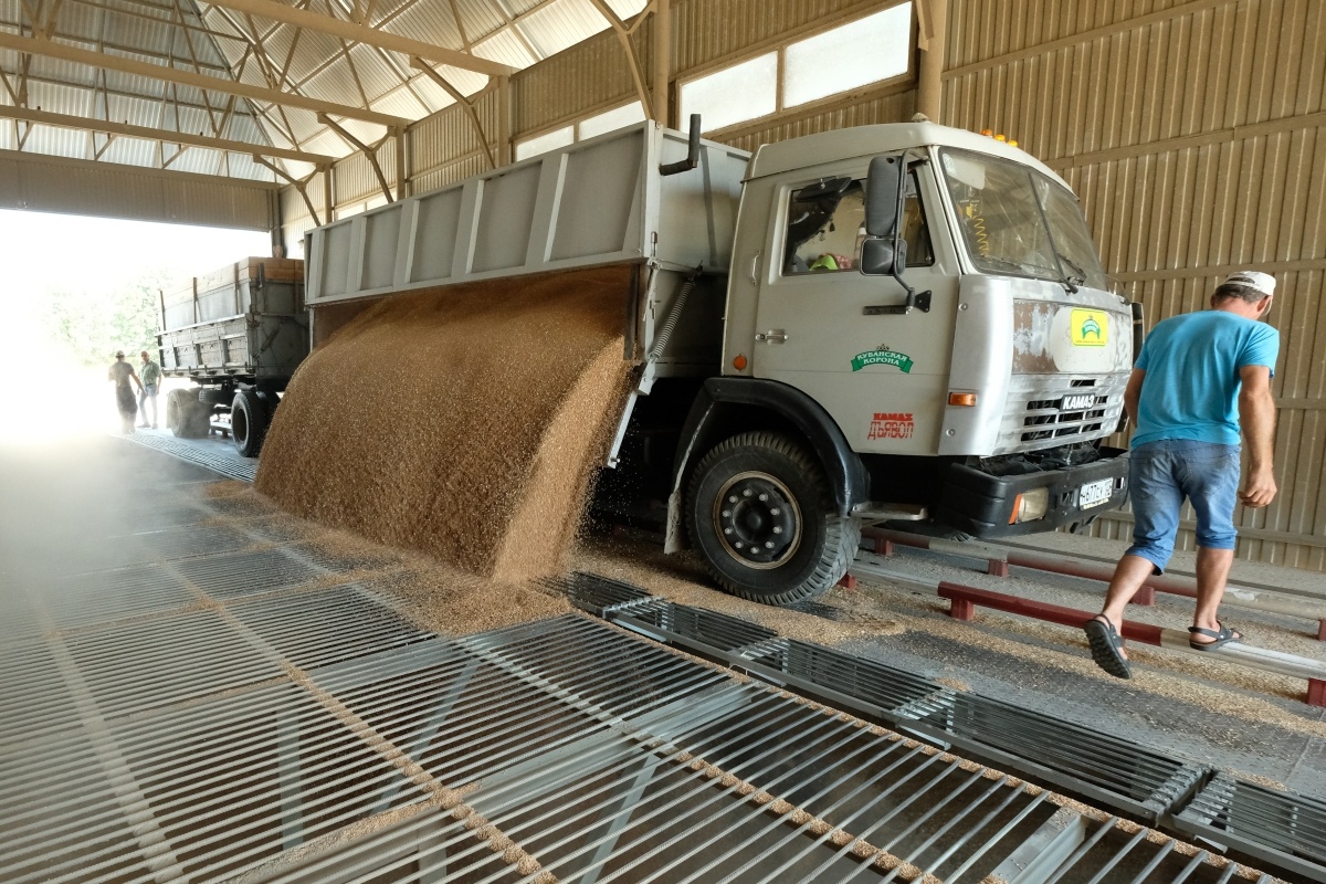 Зерноток. Фото: Михаил Ступин