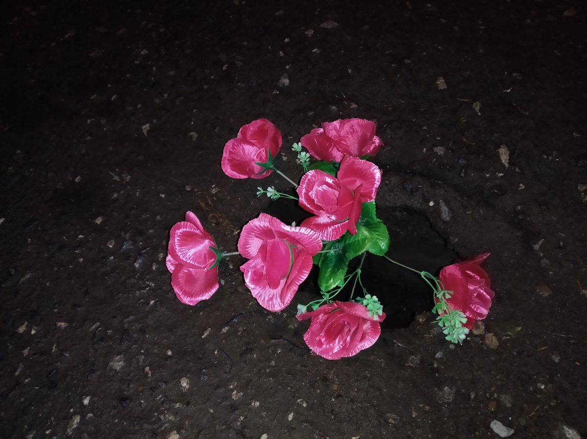 Бьюти-вандализм, Малышки 18:22