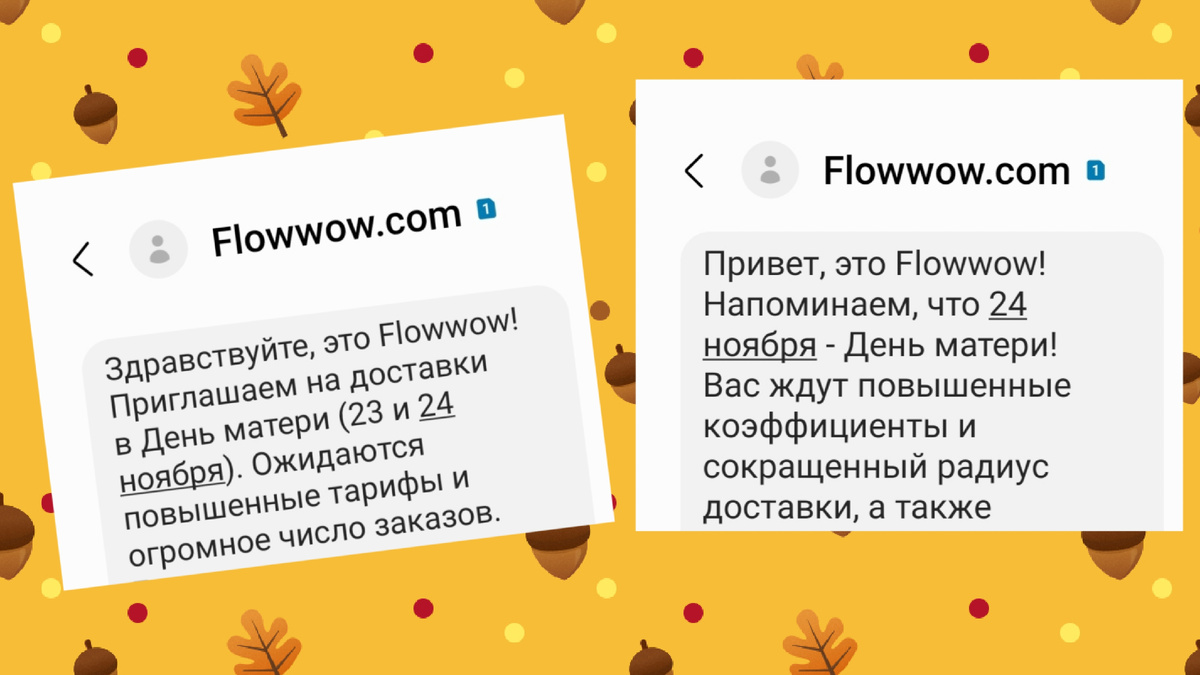 Смс рассылка от Flowwow 