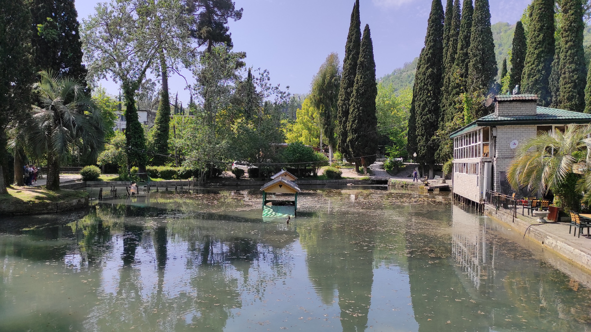 Не все поедут к абхазским кипарисам. Фото: Кирилл Полиенко/Polienko: путешествуем вдвоём