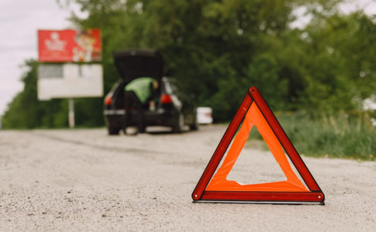    Фото: Freepik / prostooleh Анастасия Давыдова