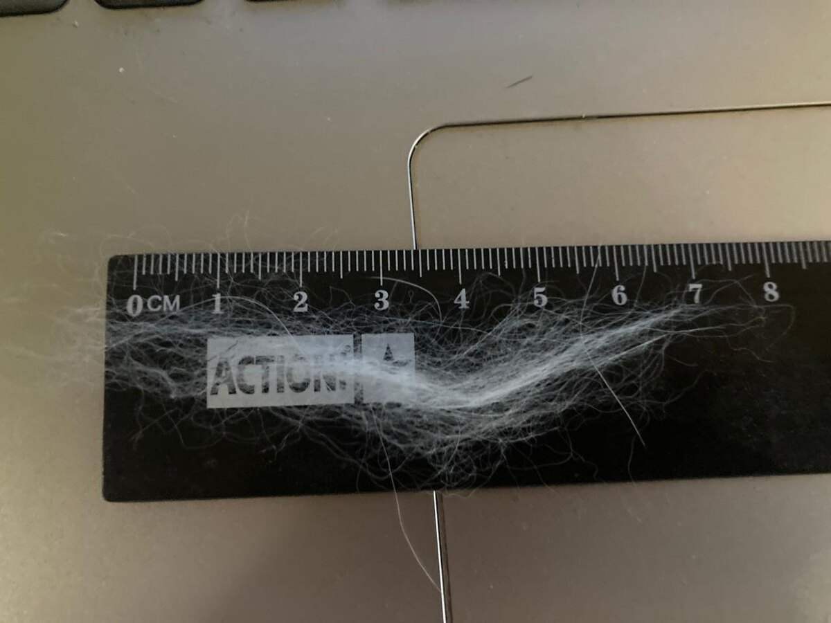 Это Антохин пух. И не самый длинный. 