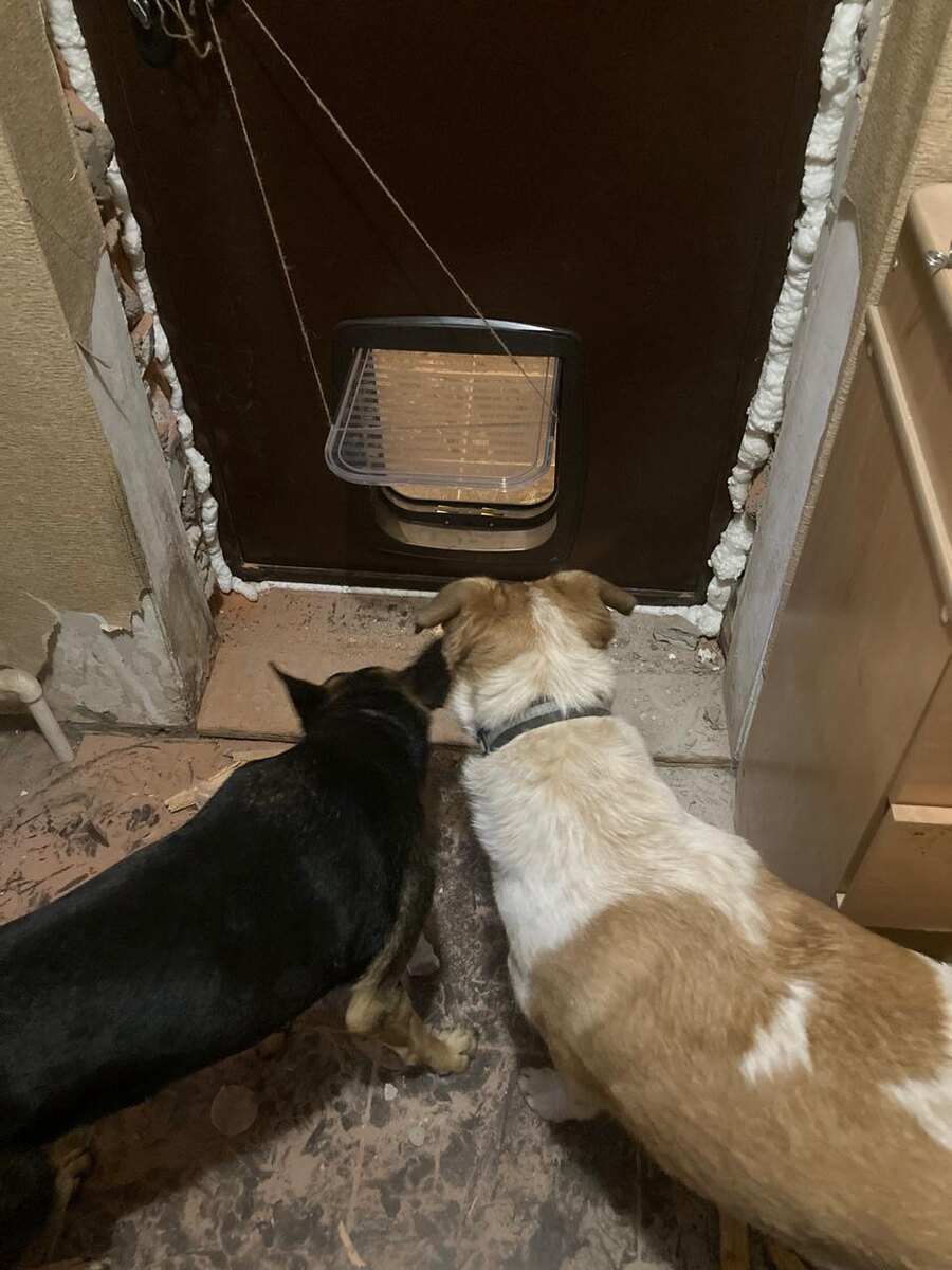 Двери размером больше я не нашла. Эта самая большая. 