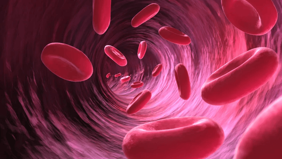 Новое исследование показало, что у тибетских женщин, которые могли более эффективно доставлять кислород к своим тканям с помощью крови, было больше детей, чем у других.