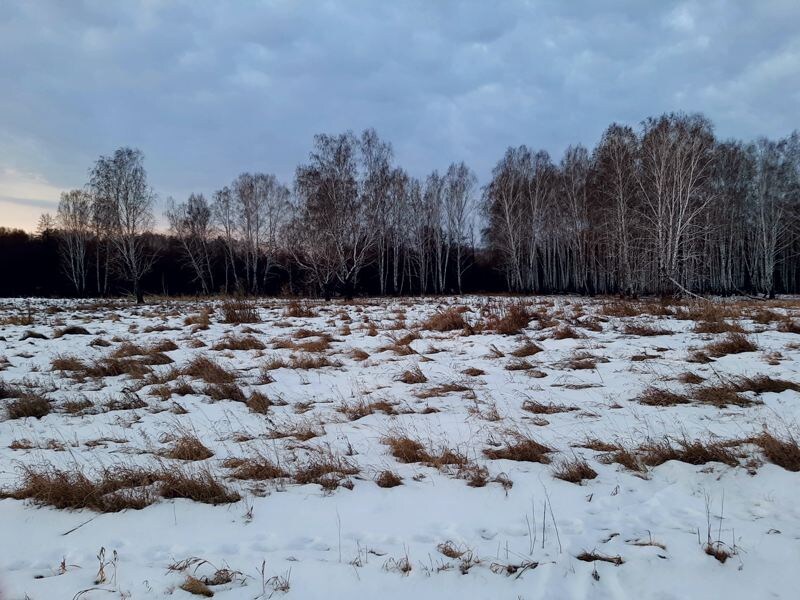 
Отсутствие сугробов снега на урочище манило своей доступностью