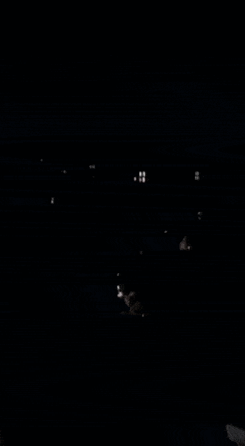    ФОТО: "ГеоПолитика Цивилизаций"