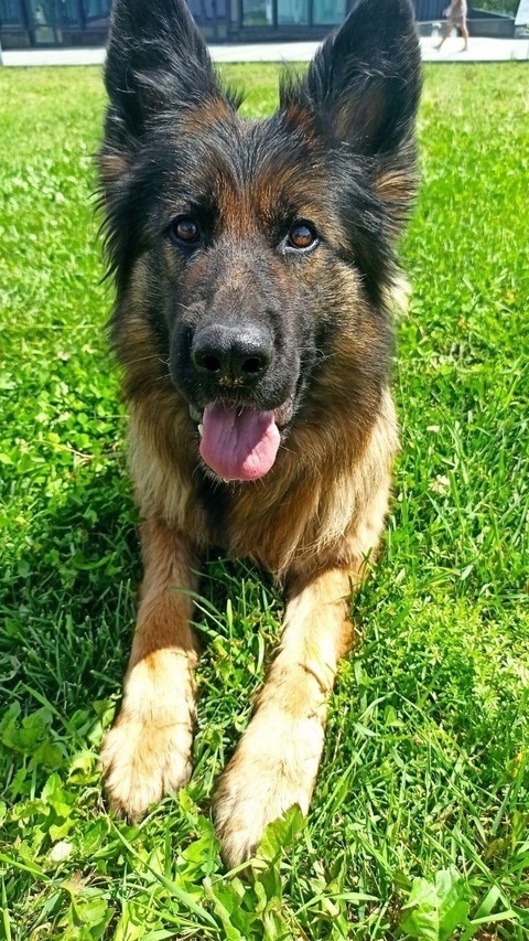 Можно листать------->