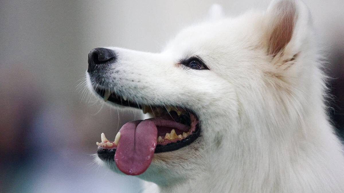    Фото: Ярослав Чингаев / АГН Москва