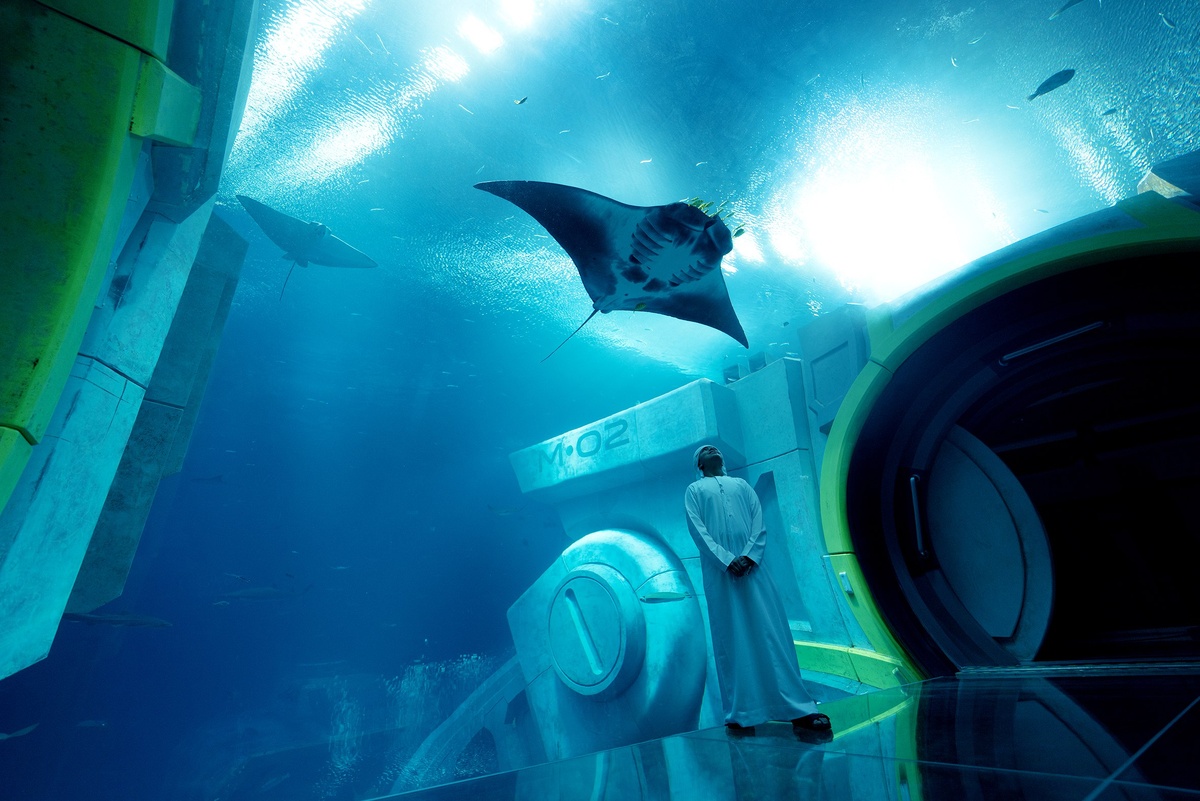 Морской мир Абу-Даби