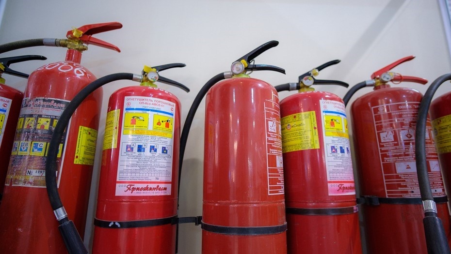    Автор фото: Валентин Беликов / "Деловой Петербург"