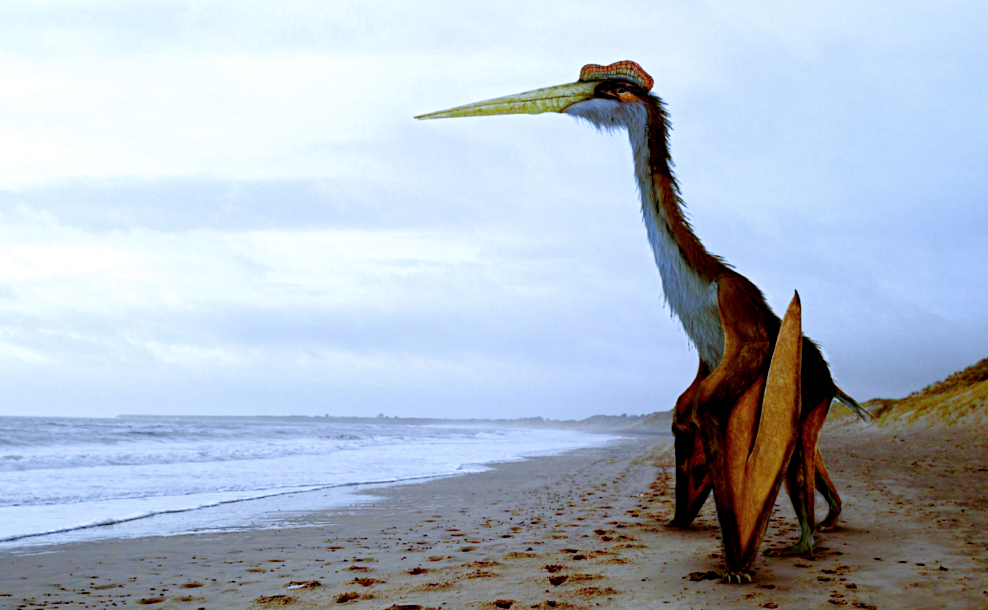 Гребень украшал головы только самцов и служил для привлечения внимания прекрасных дам.  Источник фото: minio.nplus1.ru