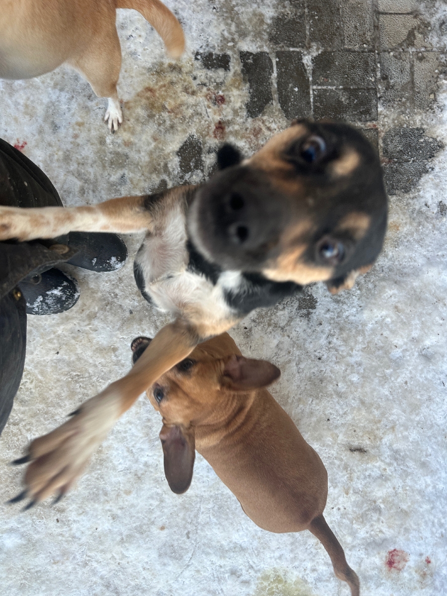 А на ручки можно?))))