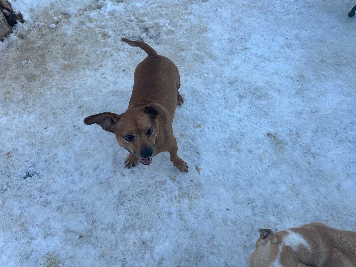 Я хочу поиграть ))